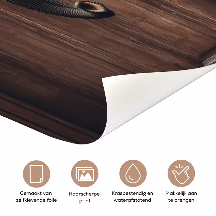 Olifant - Doorkijk - Deur - Houtlook deurposter klein -closeup_NL