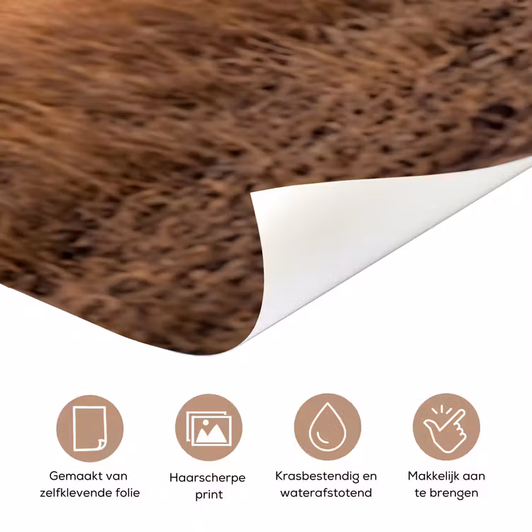 Olifanten - Savanne - Zonsondergang - Afrika - Warm deurposter klein -closeup_NL