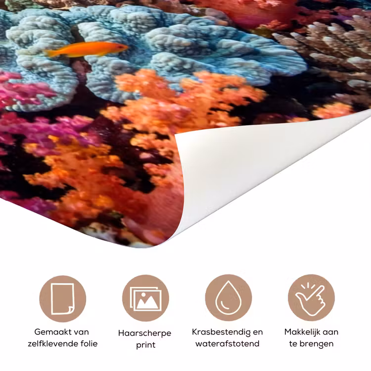 Onderwater - Koraalrif - Vissen - Oceaan - Natuur deurposter klein -closeup_NL