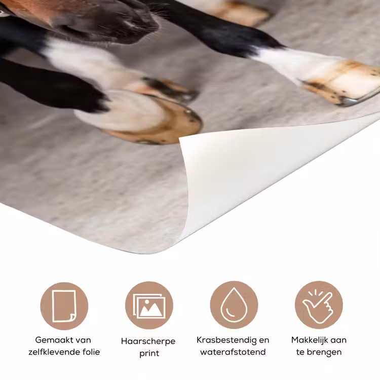 Paard - Modern - Portret deurposter klein -closeup_NL