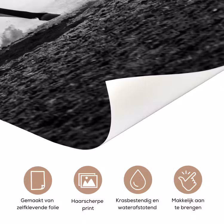 Paard - Ren - Stof - Zwart-wit - Dieren deurposter klein -closeup_NL