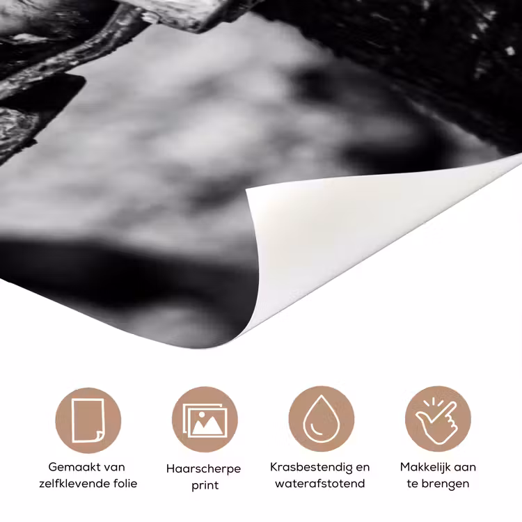 Paard - Sport - Zwart - Wit deurposter klein -closeup_NL