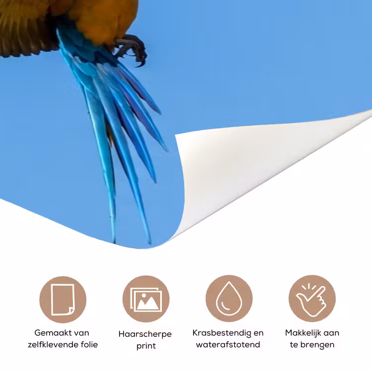 Papagaai - Vliegen - Blauw - Geel deurposter klein -closeup_NL