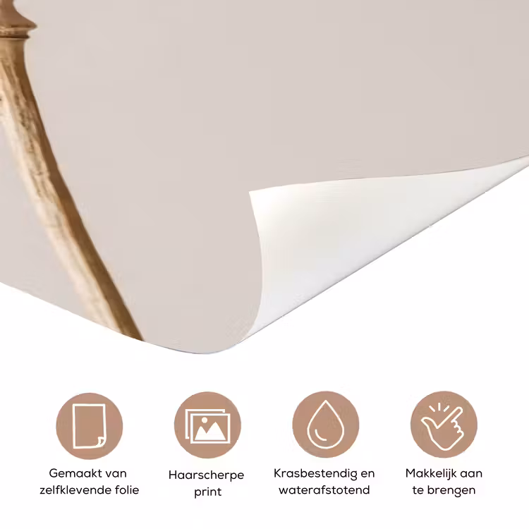 Papaverbollen - Droogbloemen - Minimalistisch - Beige - Rustig deurposter klein -closeup_NL