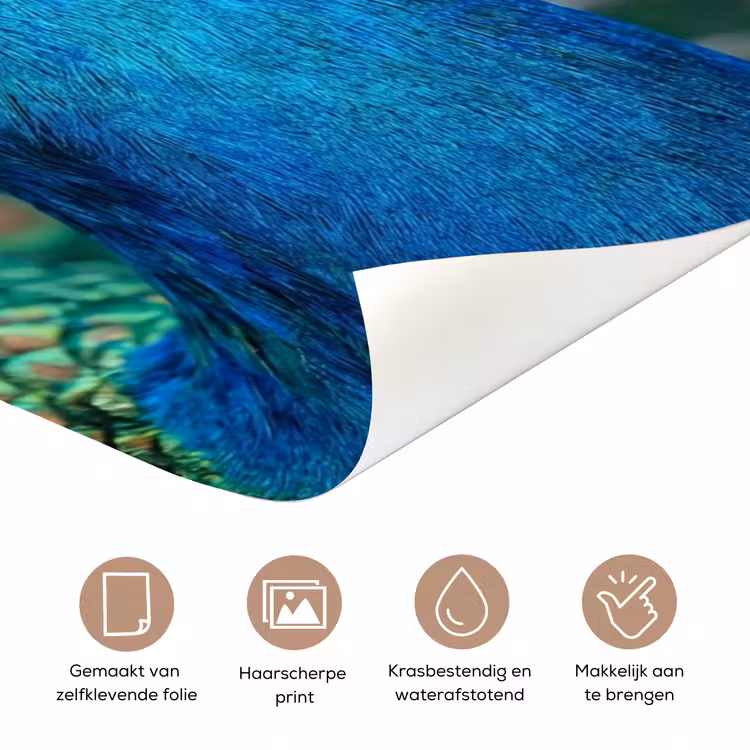 Pauw - Veren - Blauw deurposter klein -closeup_NL