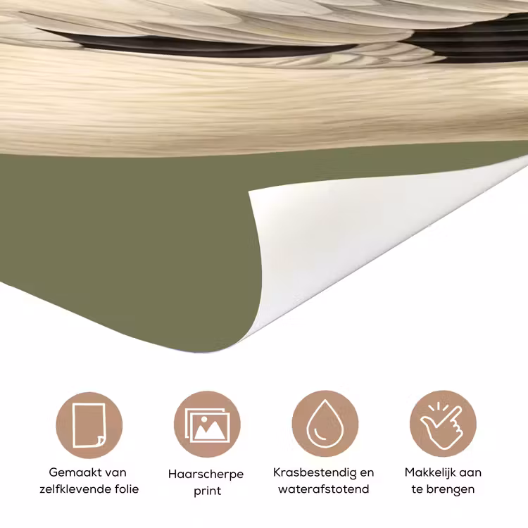 Pelikaan - Wit - Vogel - Klassiek - Natuur deurposter klein -closeup_NL