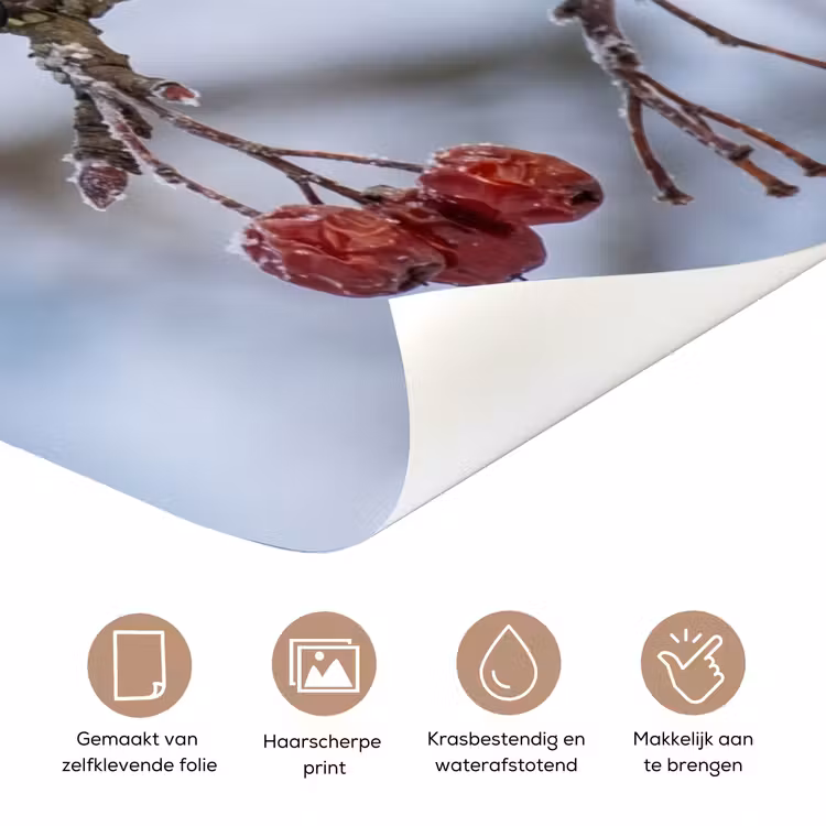 Pestvogel - Bessen - Winter - Natuur deurposter klein -closeup_NL