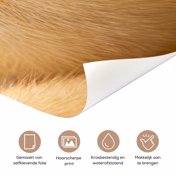 Pijltje - Eend - Natuur - Geel deurposter klein -closeup_NL