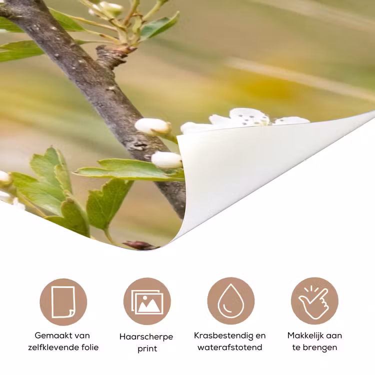 Putter - Bloesem - Lente - Natuur - Kleurrijk deurposter klein -closeup_NL