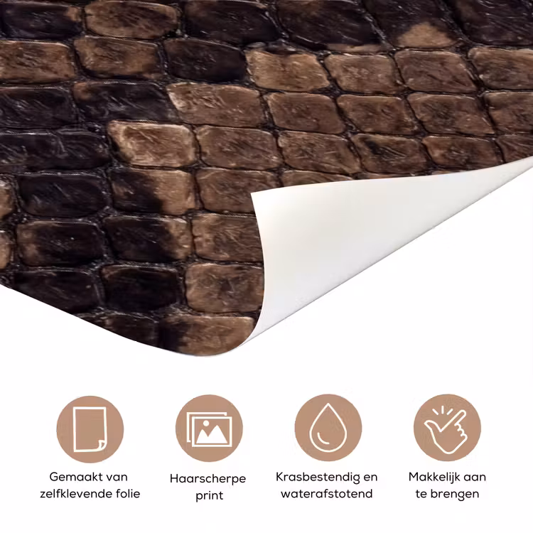 Python - Schubben - Brons deurposter klein -closeup_NL