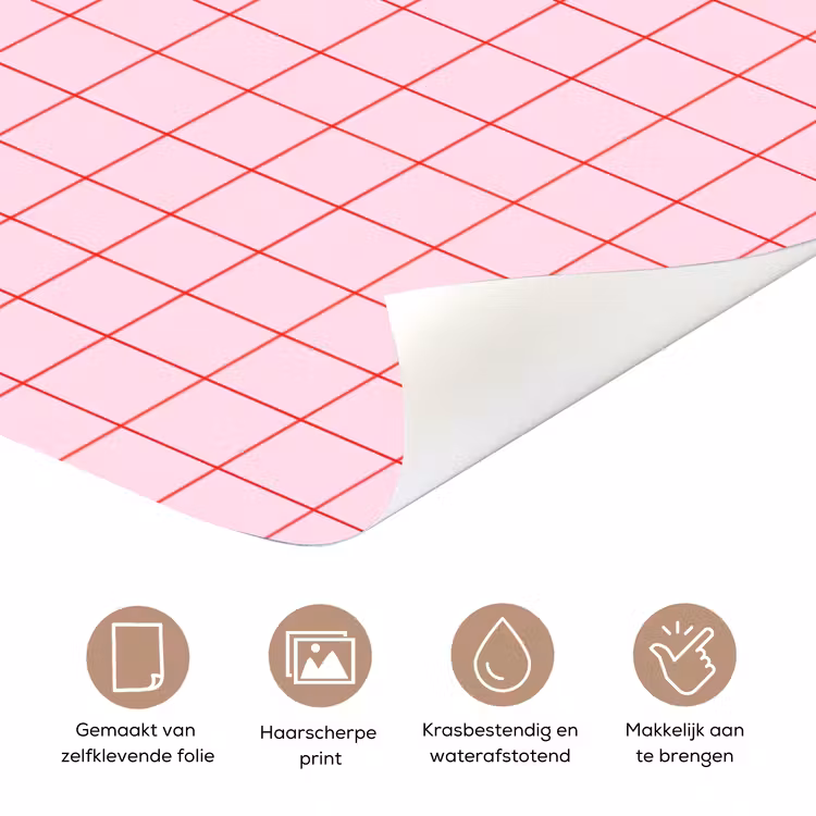 Raster - Patroon - Roze deurposter klein 289 -closeup_NL
