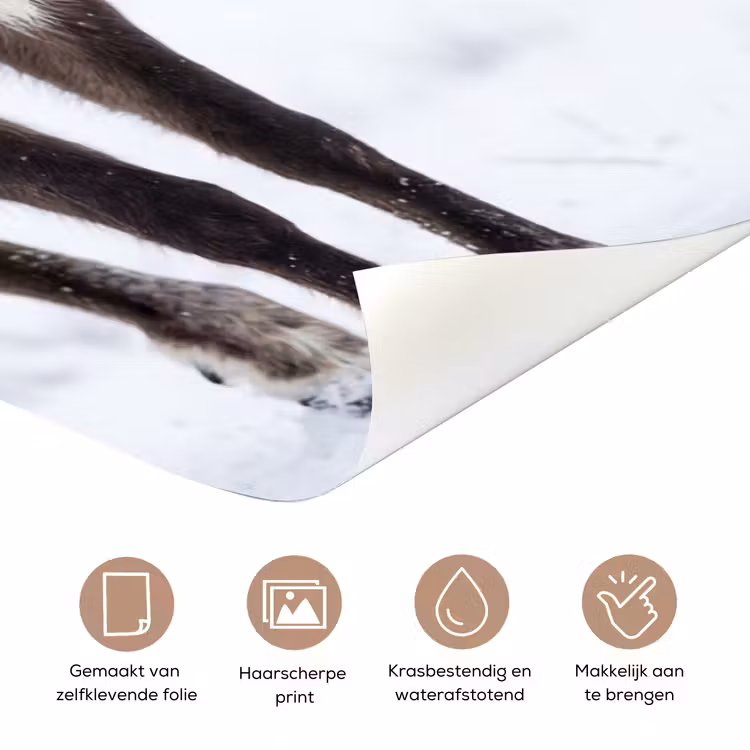 Rendier - Gewei - Toendra - Sneeuw - Wild deurposter klein -closeup_NL