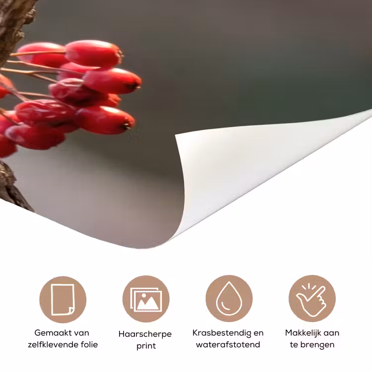 Roodborst - Tak - Bessen - Natuur deurposter klein -closeup_NL
