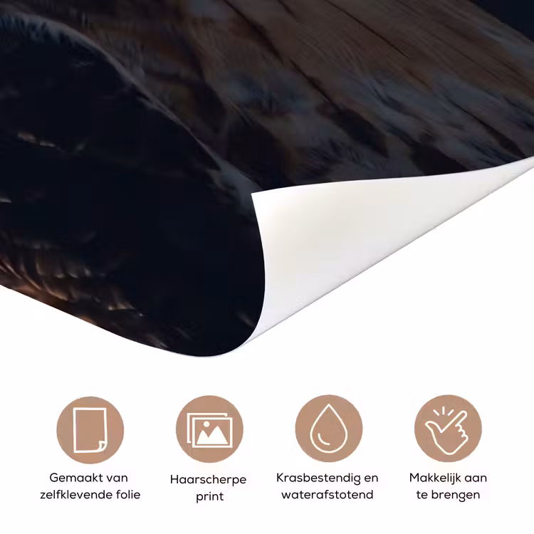 Roofvogel - Buizerd - Bruin deurposter klein -closeup_NL