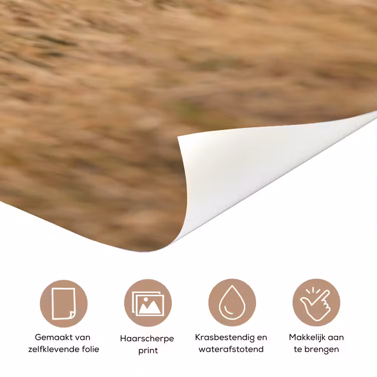 Runderen - Kudde - Landschap - Weide - Rustig deurposter klein -closeup_NL