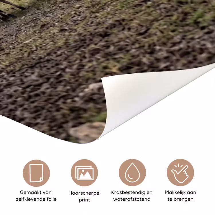 Schapen - Rij - Weide - Dieren - Platteland deurposter klein -closeup_NL