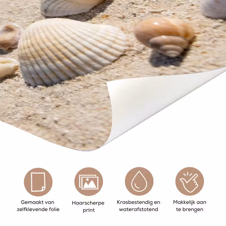 Schelpen - Strand - Natuur - Beige deurposter klein -closeup_NL