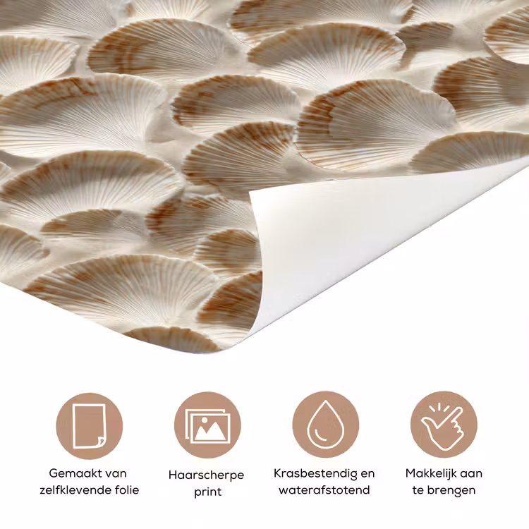 Schelpen - Waaiervorm - Wit deurposter klein 289 -closeup_NL