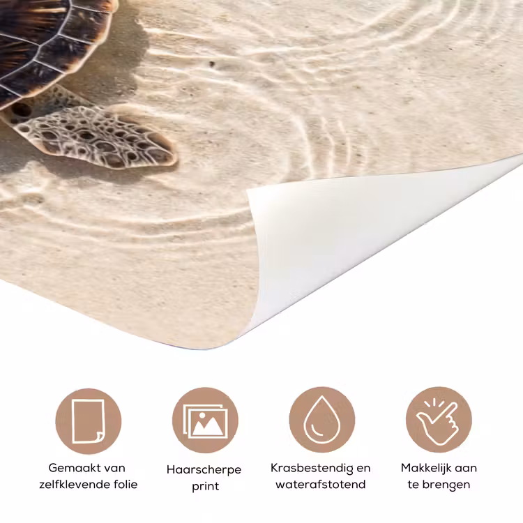 Schildpad - Helder water - Strand - Dieren - Natuur deurposter klein -closeup_NL