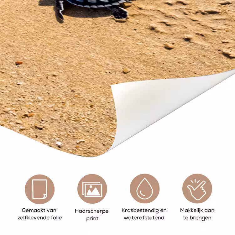 Schildpad - Jong - Strand - Oceaan - Blauw deurposter klein -closeup_NL