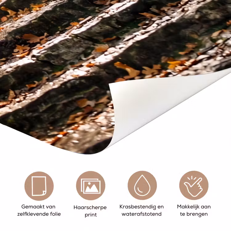 Stenen - Trap - Bos - Natuur deurposter klein -closeup_NL