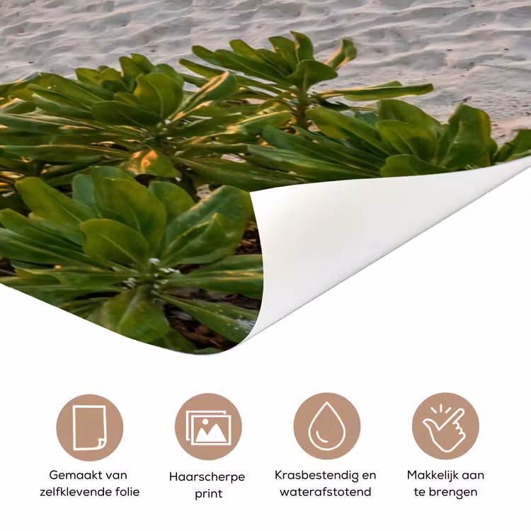 Strand - Zonsondergang - Palmbomen - Tropisch - Natuur deurposter klein -closeup_NL