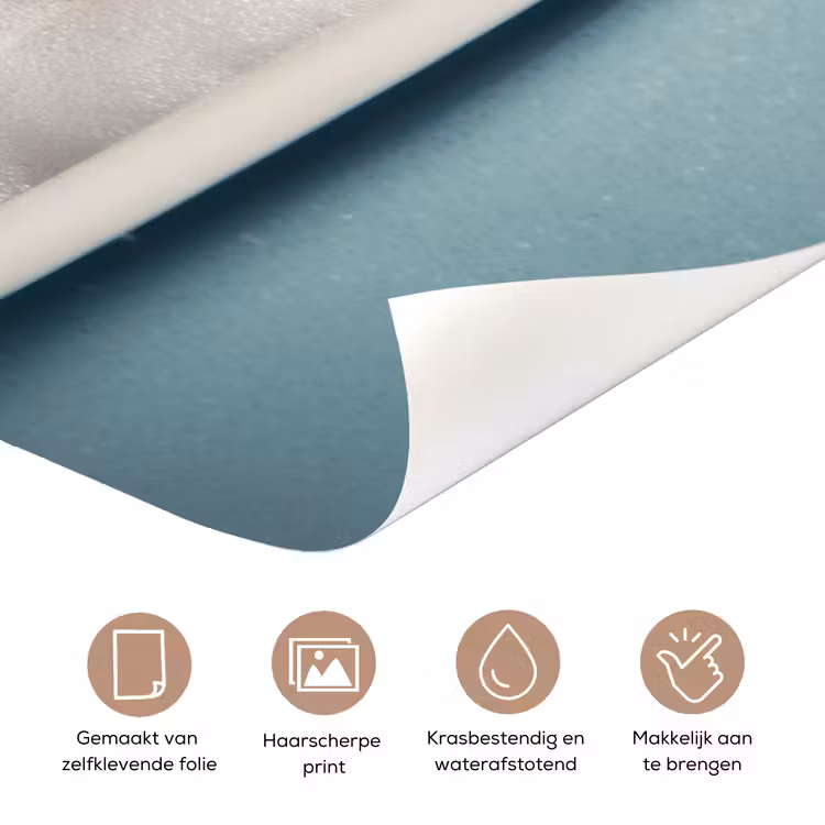 Teckel - Bad - Schuim - Waterdruppels deurposter klein -closeup_NL