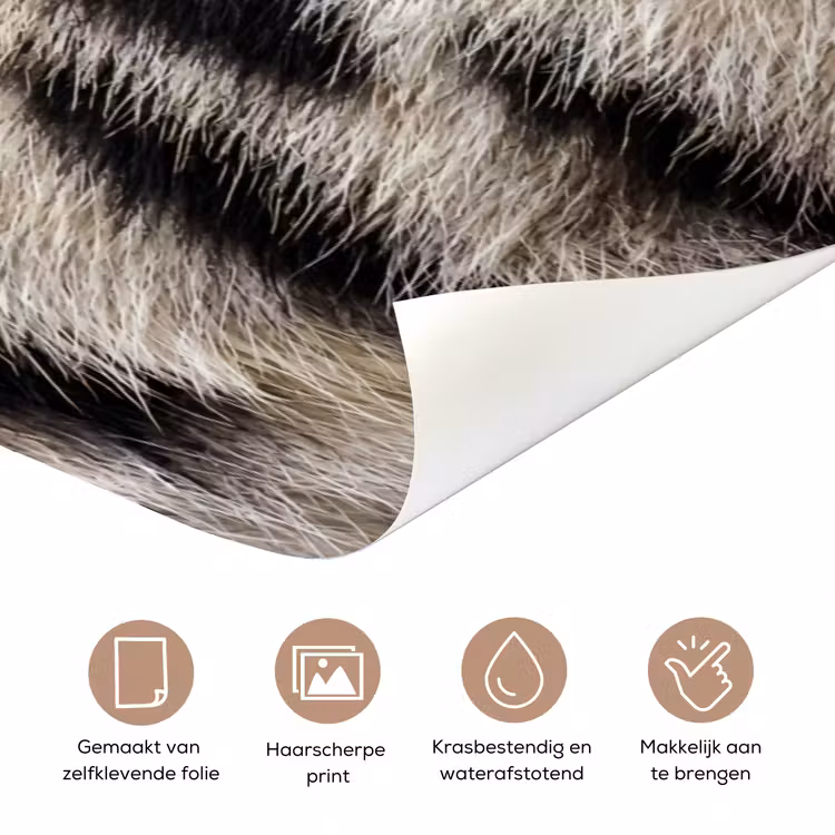 Tijgervacht - Klassiek - Zwart deurposter klein -closeup_NL