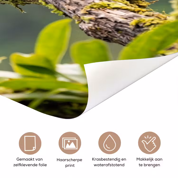 Toekan - Jungle - Natuur - Kleurrijk deurposter klein -closeup_NL