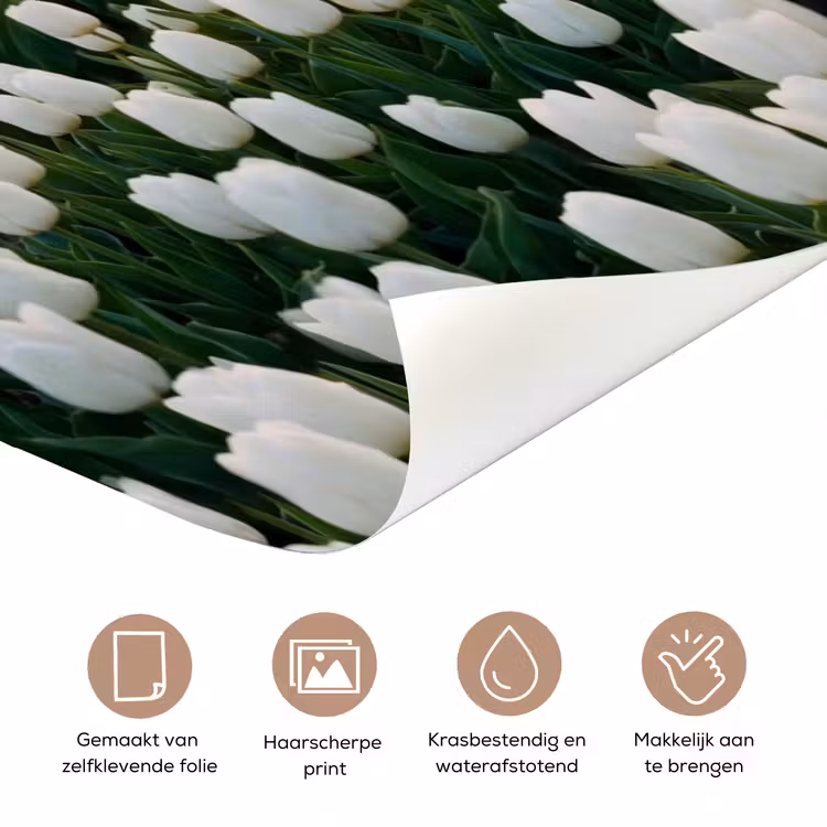 Tulpen - Landschap - Wit deurposter klein -closeup_NL