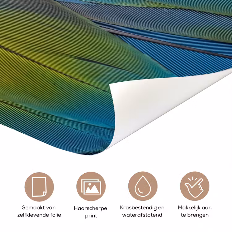 Veren - Ara - Kleurrijk deurposter klein -closeup_NL