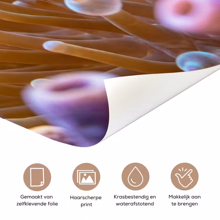 Vis - Koraal - Onderwater - Oranje - Dieren deurposter klein -closeup_NL