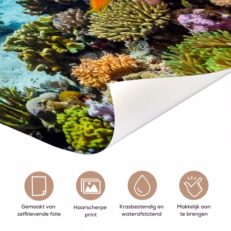 Vis - Koraalrif - Onderwater - Levendig - Blauw deurposter klein -closeup_NL