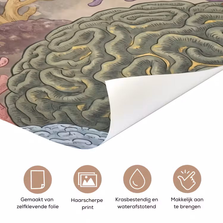 Vis - Koraalrif - Onderwaterwereld - Illustratie deurposter klein -closeup_NL