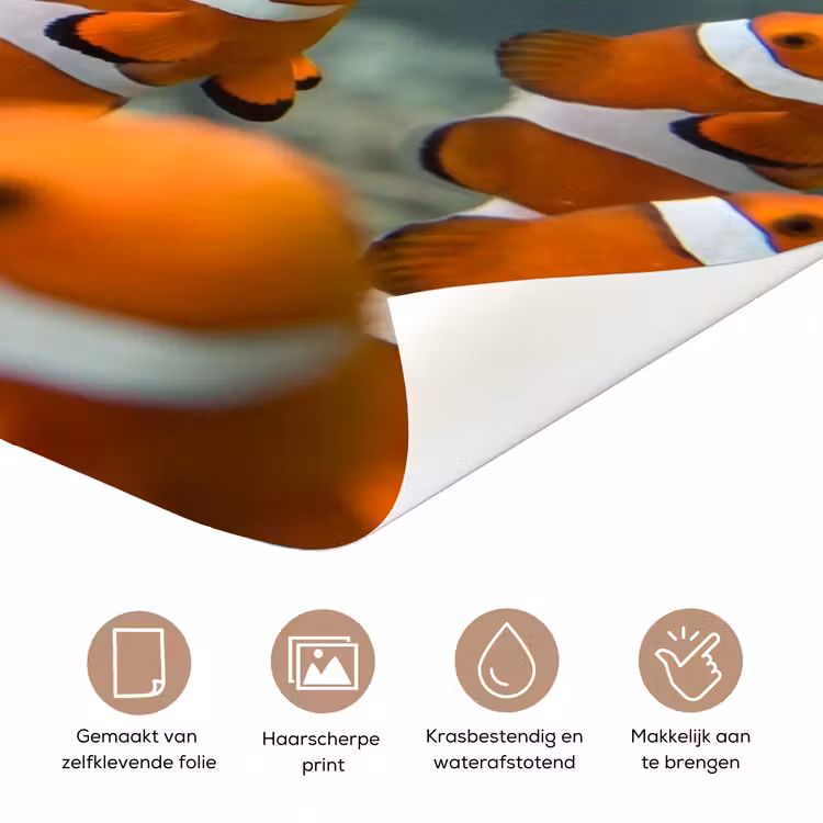 Vis - School - Onderwater - Dieren - Oranje deurposter klein -closeup_NL