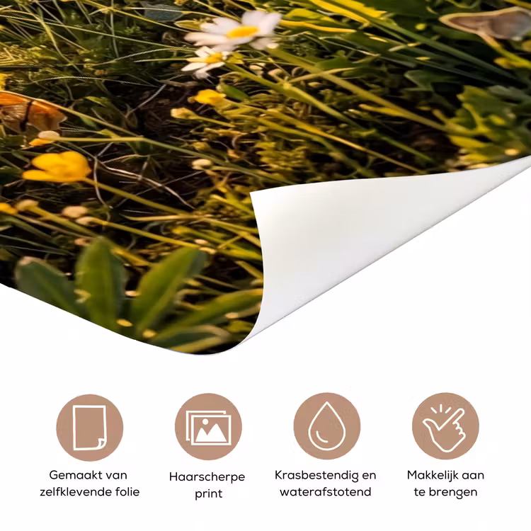 Vlinders - Waterval - Bloemenveld deurposter klein -closeup_NL