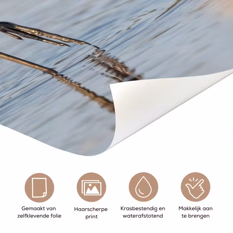 Vogel - Steltloper - Water - Natuur deurposter klein -closeup_NL