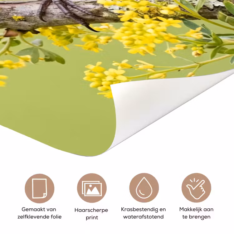 Vogel - Tak - Natuur - Kleurrijk deurposter klein -closeup_NL