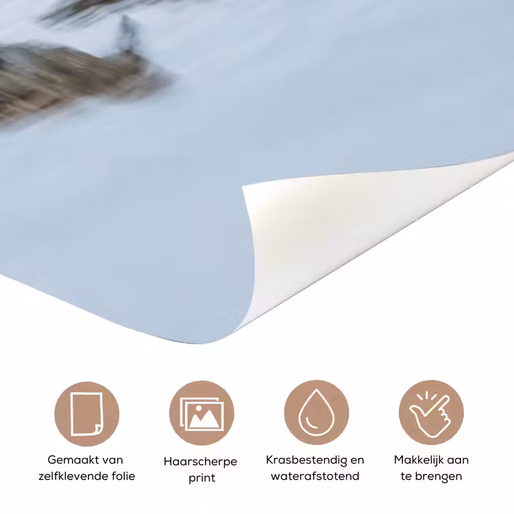 Vogels - Water - Grijs deurposter klein -closeup_NL