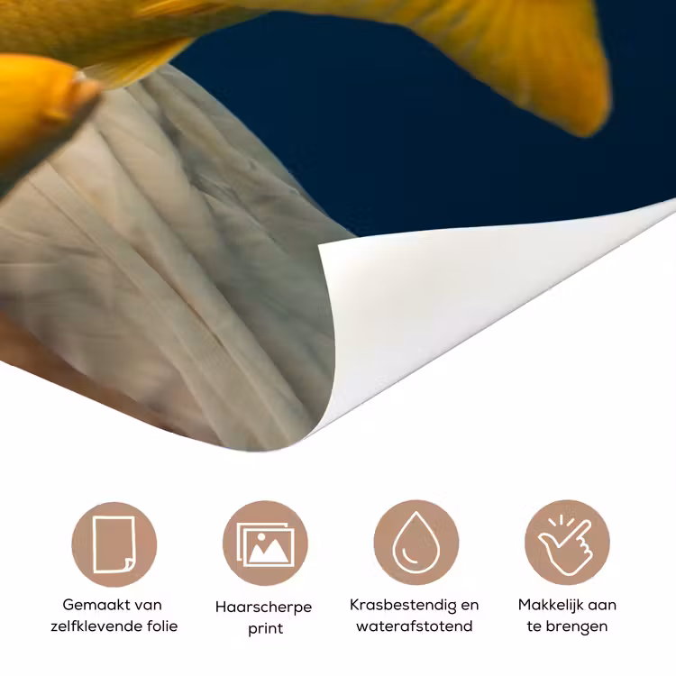 Vrouw - Vis - Water - Natuur - Geel deurposter klein -closeup_NL