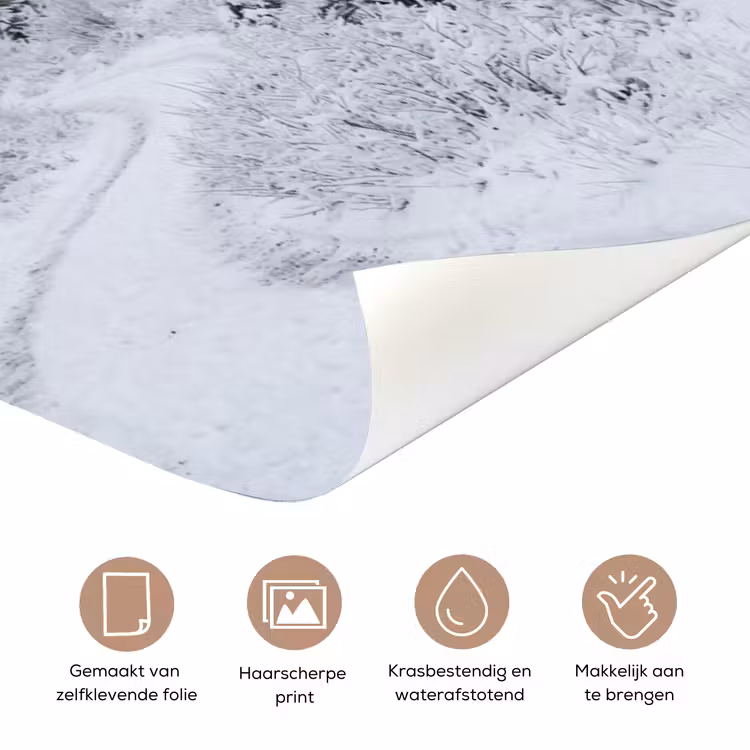 Weg - Bergen - Sneeuw - Naaldbos - Avontuurlijk deurposter klein -closeup_NL