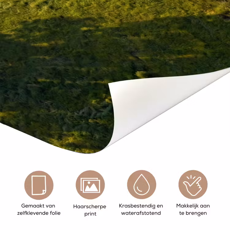 Weg - Weide - Natuur - Groen deurposter klein -closeup_NL