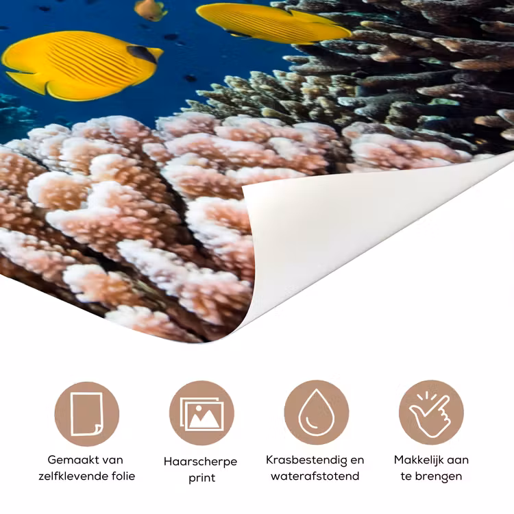 Zee - Koraalrif - Natuur - Levendig - Blauw deurposter klein -closeup_NL