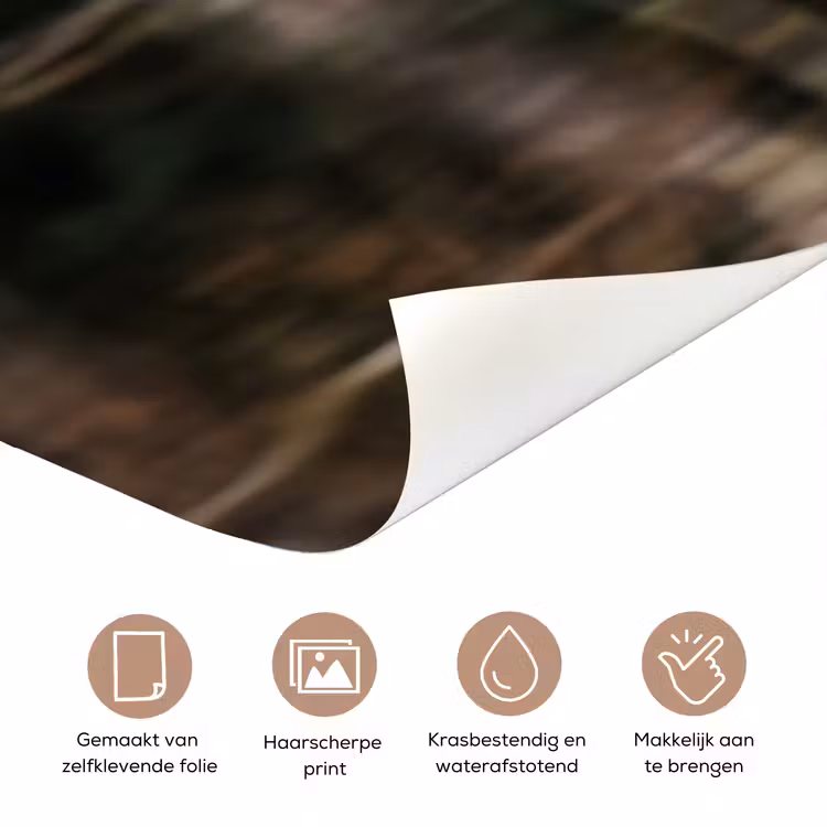 Zeearend - Vliegen - Bos - Natuur deurposter klein -closeup_NL
