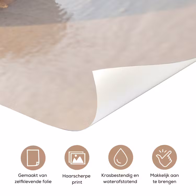 Zeeschelp - Strand - Zee - Natuur - Beige deurposter klein -closeup_NL