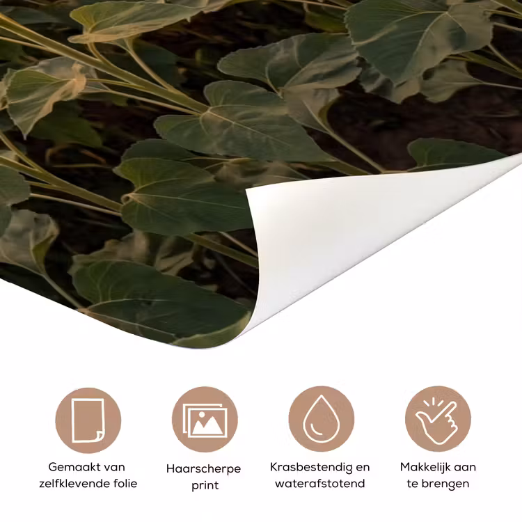 Zonnebloemen - Heuvellandschap - Geel deurposter klein -closeup_NL