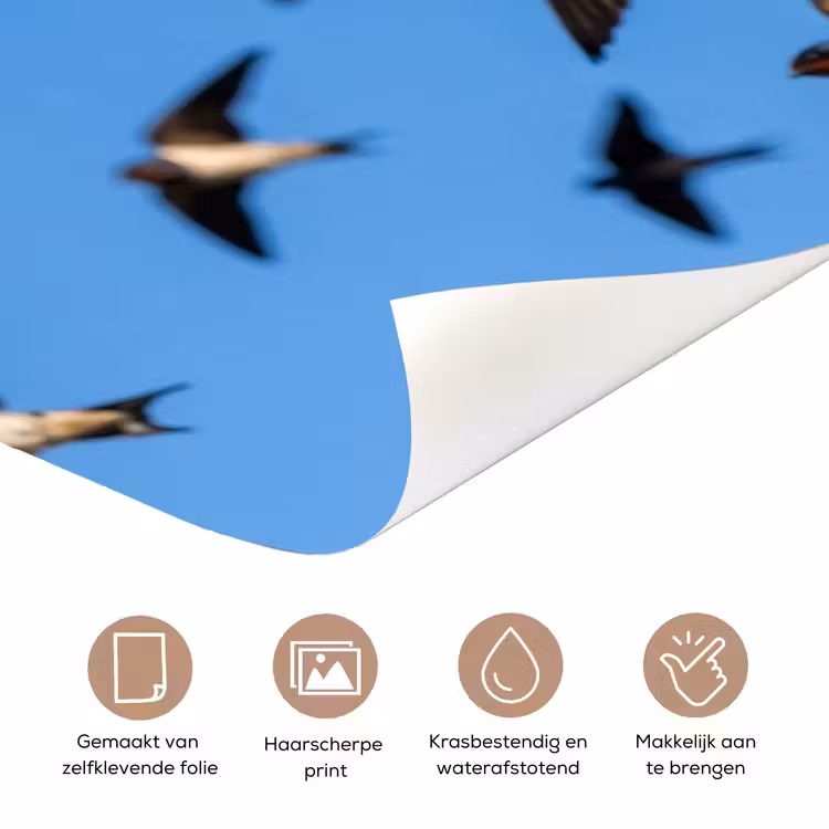 Zwaluwen - Vliegen - Blauw deurposter klein -closeup_NL