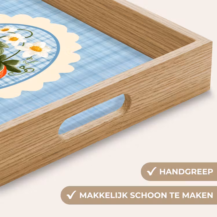 Aardbeien - Lijst - Rood - Geruit Dienblad Rechthoek middel -USP_HandgreepNL