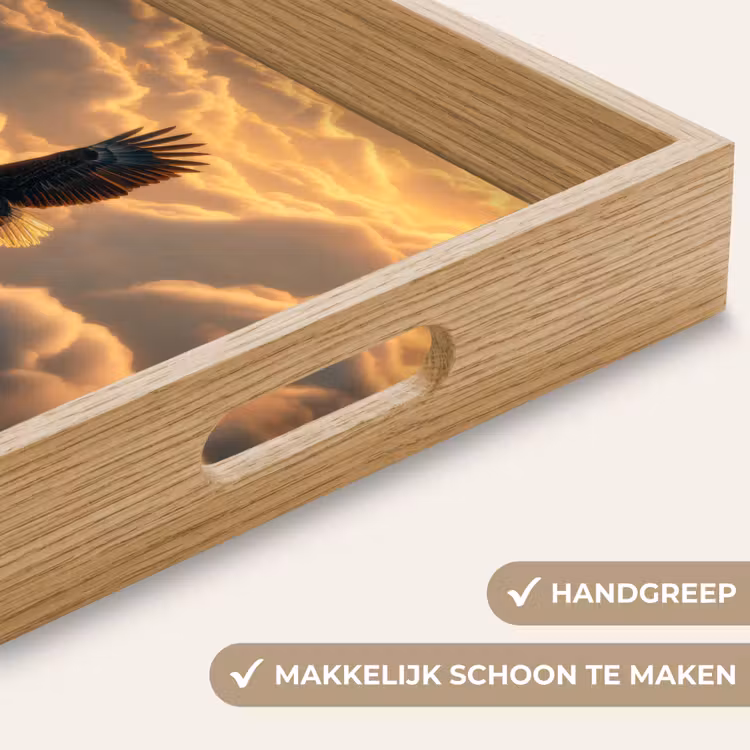 Adelaar - Wolken - Zon Dienblad Rechthoek middel -USP_HandgreepNL