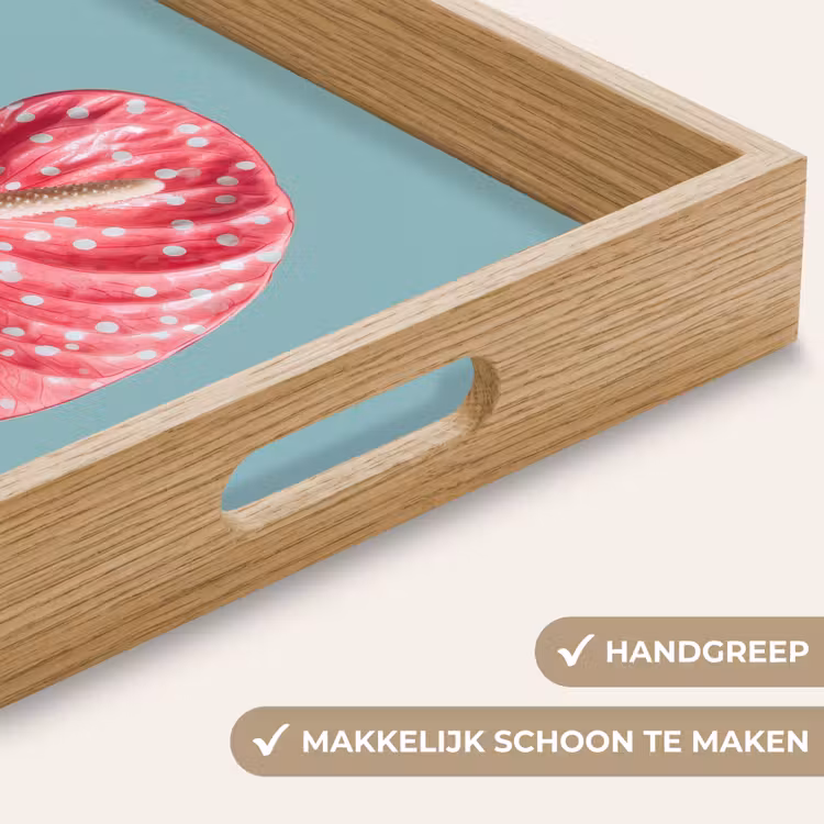 Blad - Anthurium - Stippen - Roze Dienblad Rechthoek middel -USP_HandgreepNL